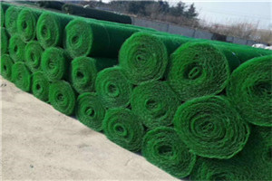 三维植被网案例